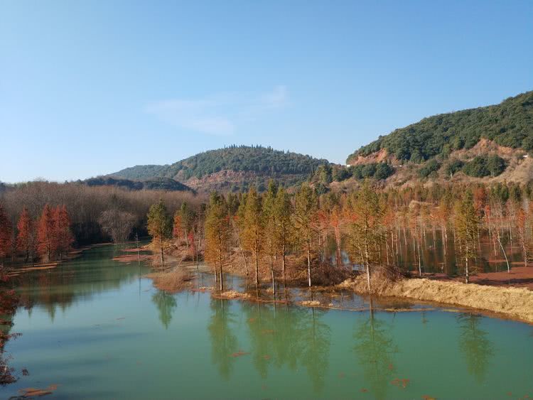 杉尾村人口_杉尾鱼图片(2)