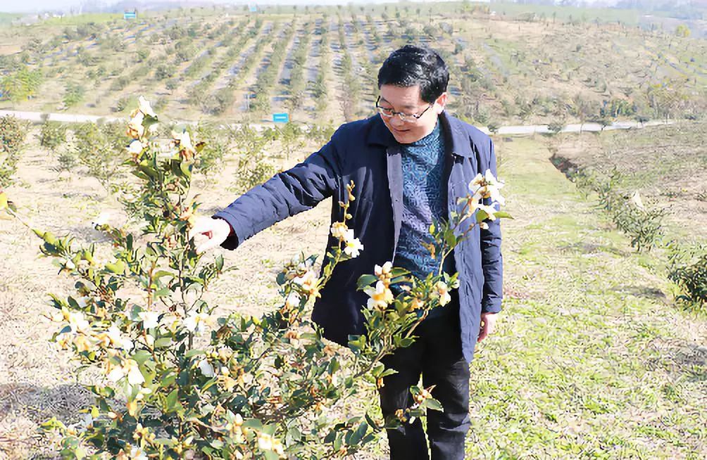 罗发涛是汉滨区种苗站站长,也是汉滨区油茶产业发展的科技带头人,前不