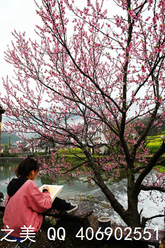 春到虹关 徽饶古道第一村