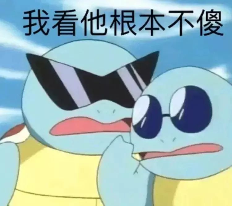 前方大量表情包出没!杰尼龟咋就变成憨批代言人了?