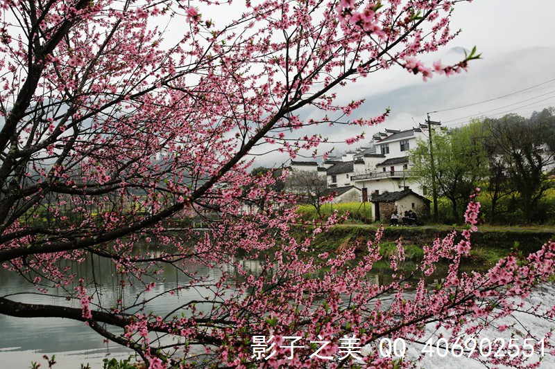 春到虹关 徽饶古道第一村