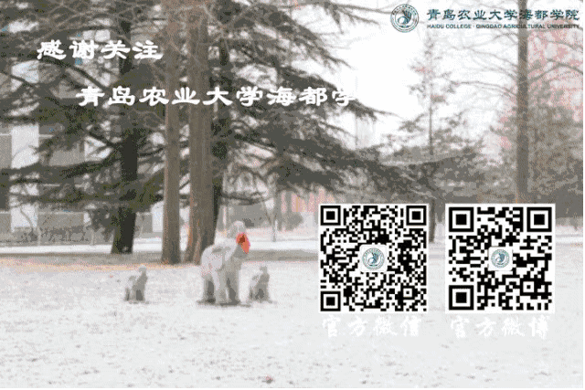 学期将尽,快来晒晒你的进度条!