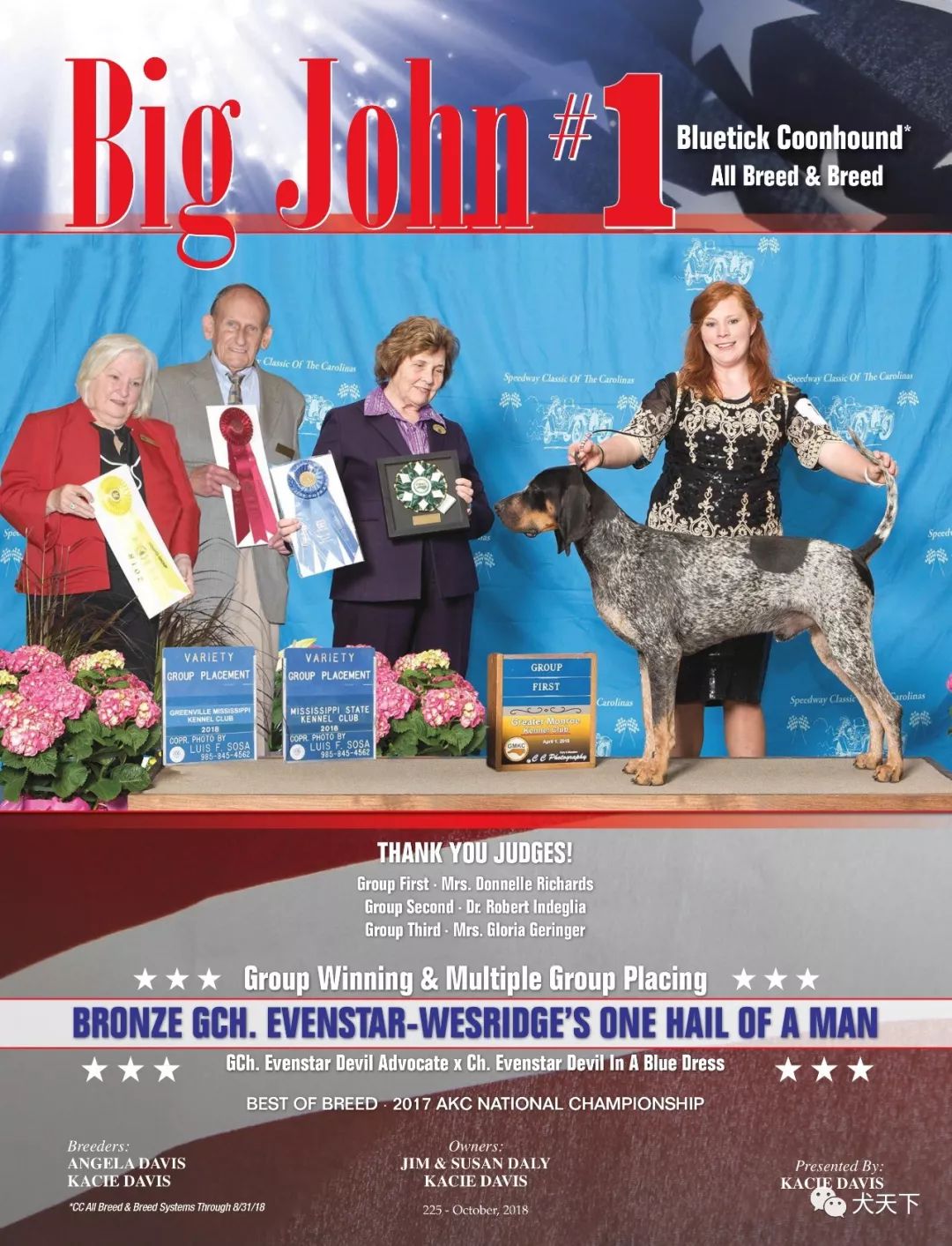 每日一王者"big john—年轻出众的美国akc蓝斑猎浣熊犬排行一