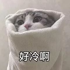 8affcae0d1f64eb78dfda53c0c2aa165.jpeg