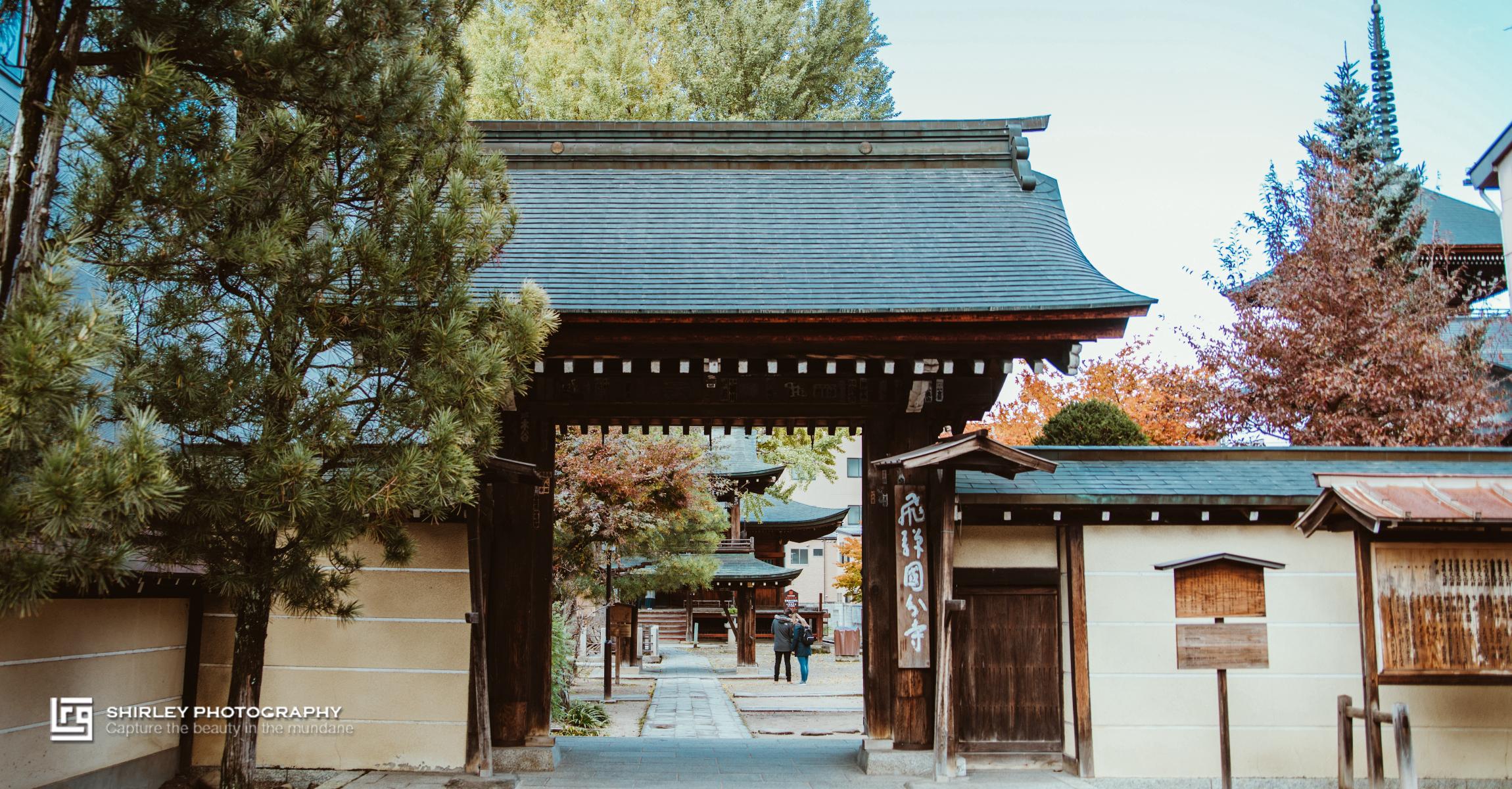 日本小京都的第一寺庙 寺中一棵10年银杏树 寺庙靠它成了网红 庭院