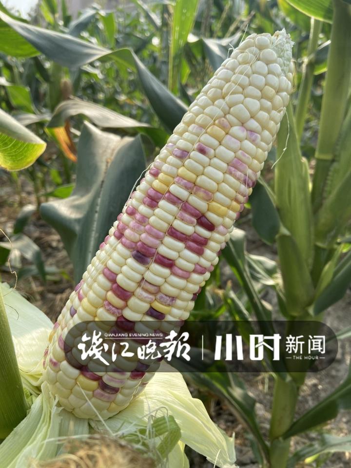a6b9c1e187e6467c9ae838cd6bac3aef.jpeg