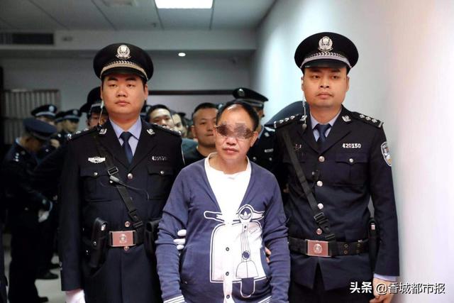通山程金柱涉黑组织犯罪案侦破纪实