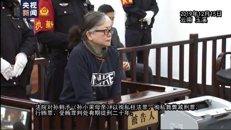 政务周报丨苏北高铁梦背后的悲欢孙小果案关系网垮台的警示