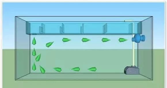 纠正造浪泵的位置摆放_鱼缸