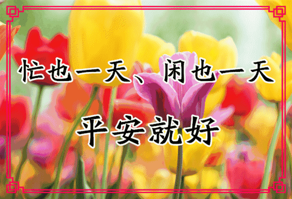 bdb4aa2340654f0c892bbfaf1df7f53a.gif