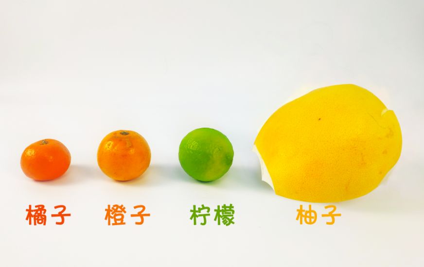 亲宝宝育儿■宝宝吃完桔子千万别做这件事！已经有好几个孩子被炸伤……