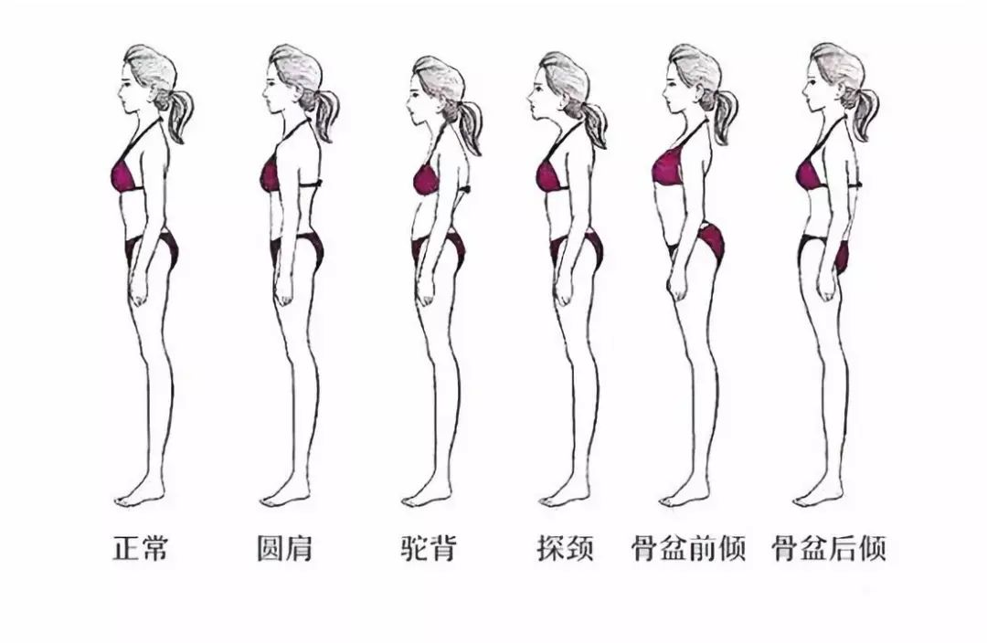 日本骨盆调整:你知道吗,你的坐姿正是你的健康杀手