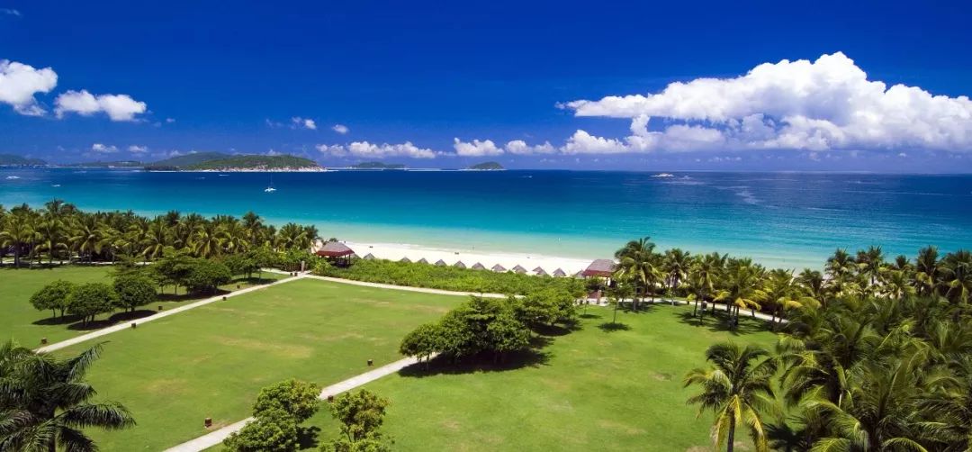 武汉马、扬州马、三亚马、衡阳马,年前