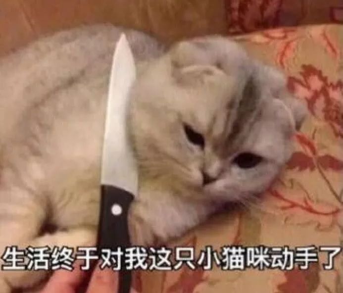 什么是生活该有的样子 d3535fe1fa3743d1b6fe38bb9c3f69a2.jpeg