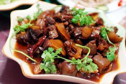 寻渔记|很多地区的人都不食猫肉狗肉，两广人却说美味，看着流口水