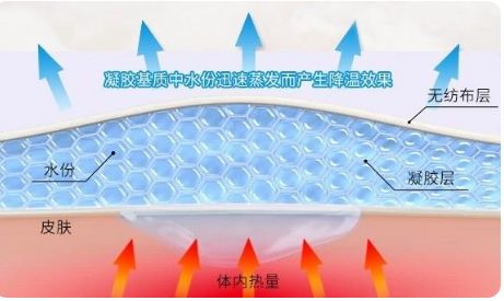 「医网」退热贴”骗了多少中国父母！孩子发烧到底应该怎么办？