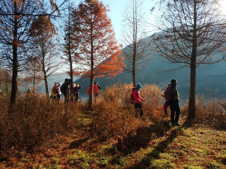 杉尾村人口_杉尾鱼图片(2)