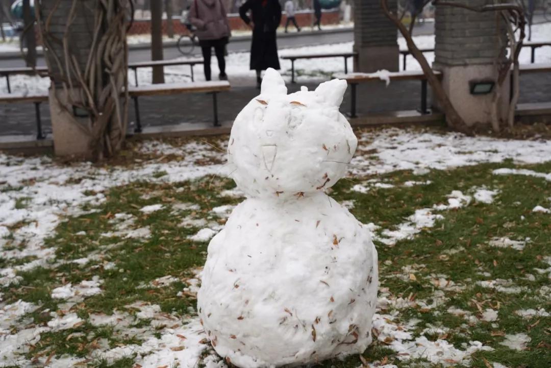 北京高校堆雪人大赛作品来袭!