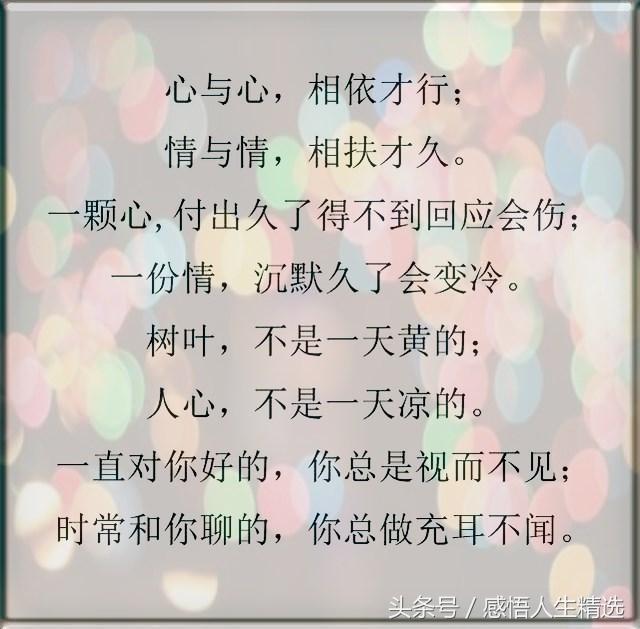 新妇简谱_络新妇(3)