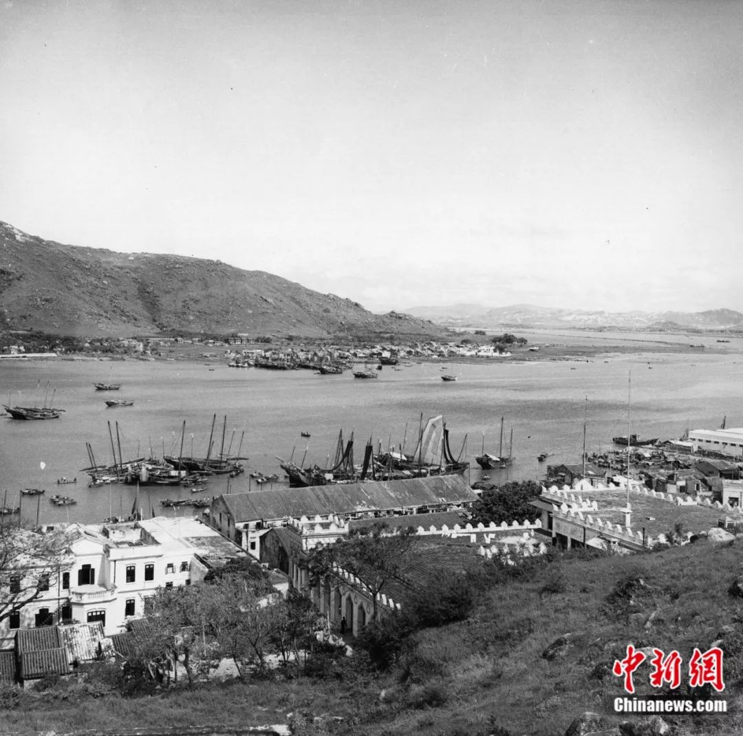 习近平:香港、澳门事务用不着任何外部势力指