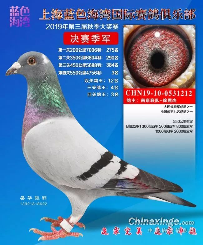 上海蓝色海湾决赛冠军品鉴