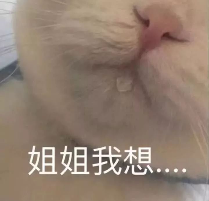 今日份沙雕表情包 | 我确实馋他的身子
