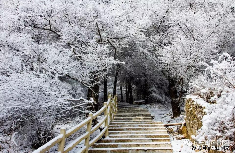 这才是河北最美的雪景,颜值不输北欧,处处堪比风景大片!