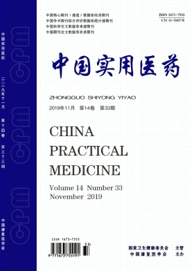 《中国实用医药》是什么级别刊物?能评