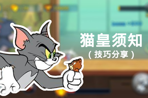 猫和老鼠:想成为猫皇?你要注意这些细节!「大神猫鼠攻略」