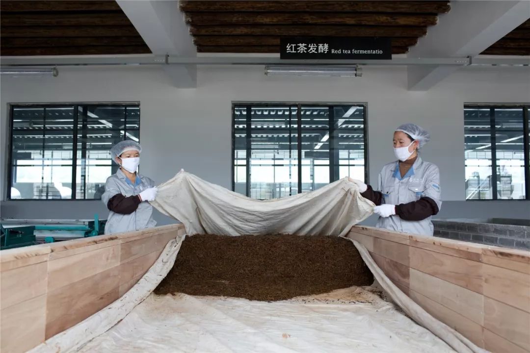 鲜叶-萎凋-揉捻-↑全发酵-揉捻-干燥-红茶 津乔年礼"福子",集合了以