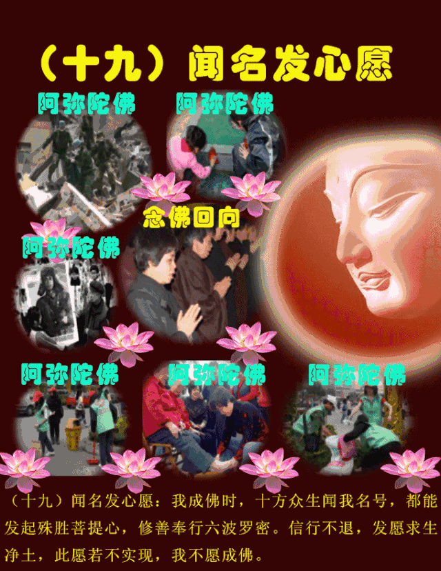 阿弥陀佛四十八愿太美了过目增福功德无量