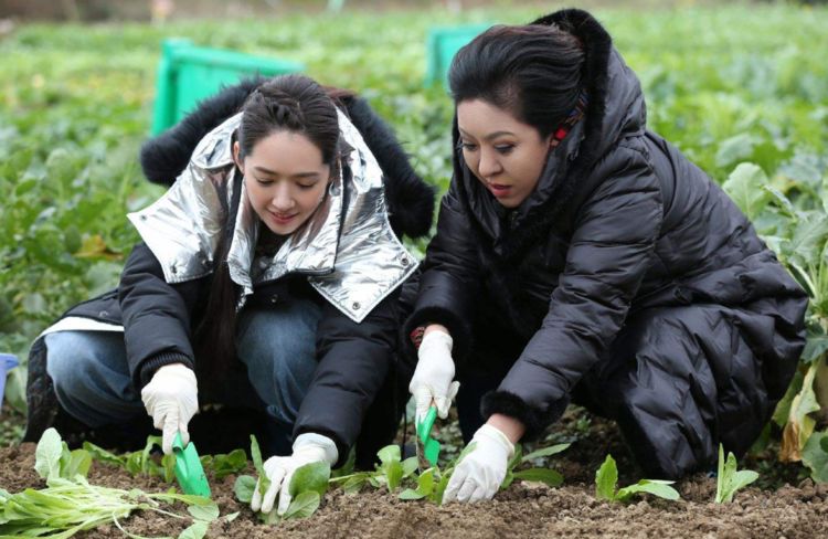 刘维妈妈喊郭碧婷女儿惹向太吃醋,评论留言:不