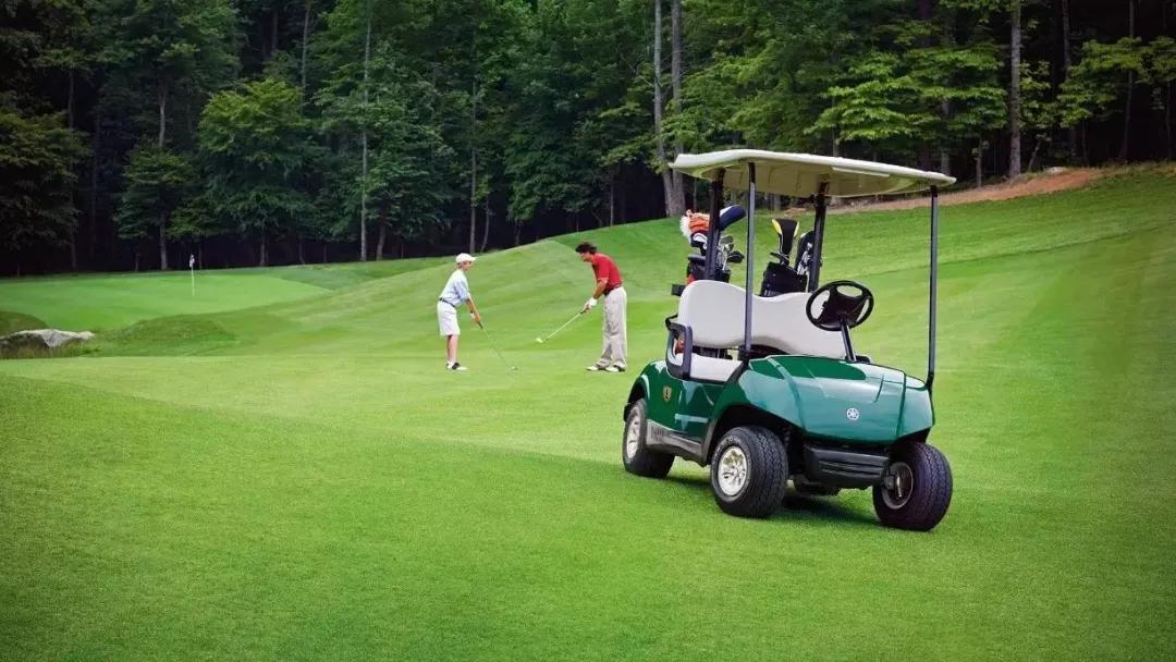 高尔夫球车：了解球车驾驶规则，让打球更便利