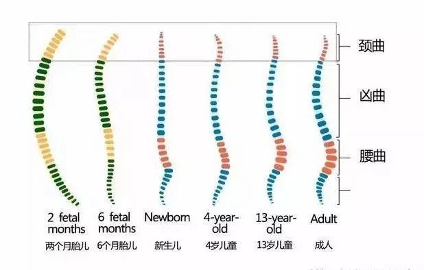 母婴育儿输出@宝宝多大可以用枕头？不到这个年龄就用枕头伤害极大