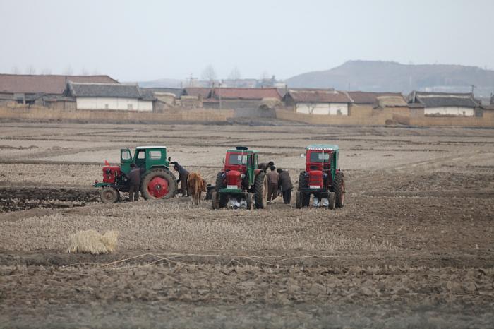 朝鲜境内,距中国最近的第四大城市新义州,里面