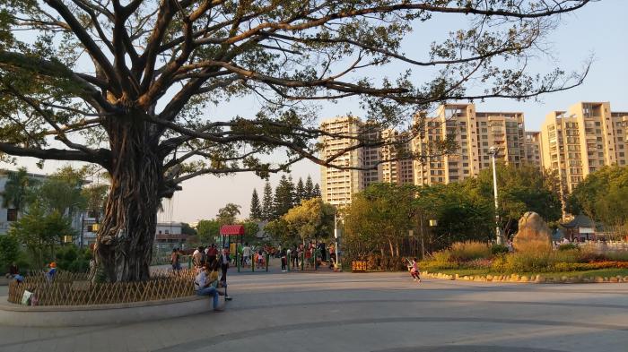 深圳公明的下村公园,一个风景秀美的公园,来了就喜欢上的公园