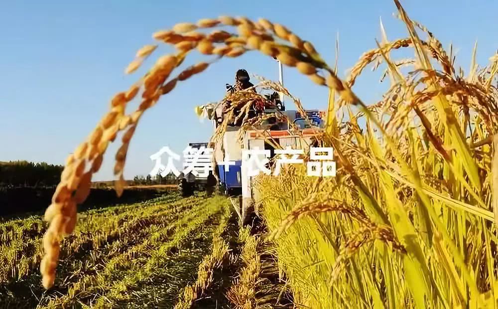 开云APP 开云官网入口做休闲农业和乡村旅游开发必知的8个最新概念！(图4)