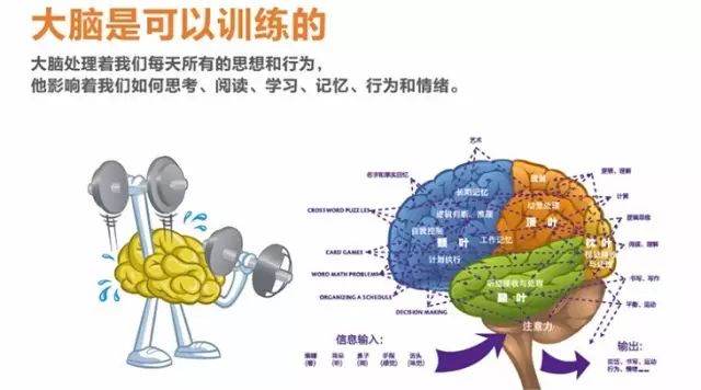 什么东西可以提升大脑记忆 7127ebf803114d5e82fd0e2502316791.jpeg