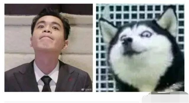 张若昀的哈士奇梗又重出江湖，陈道明和吴刚都被带歪了