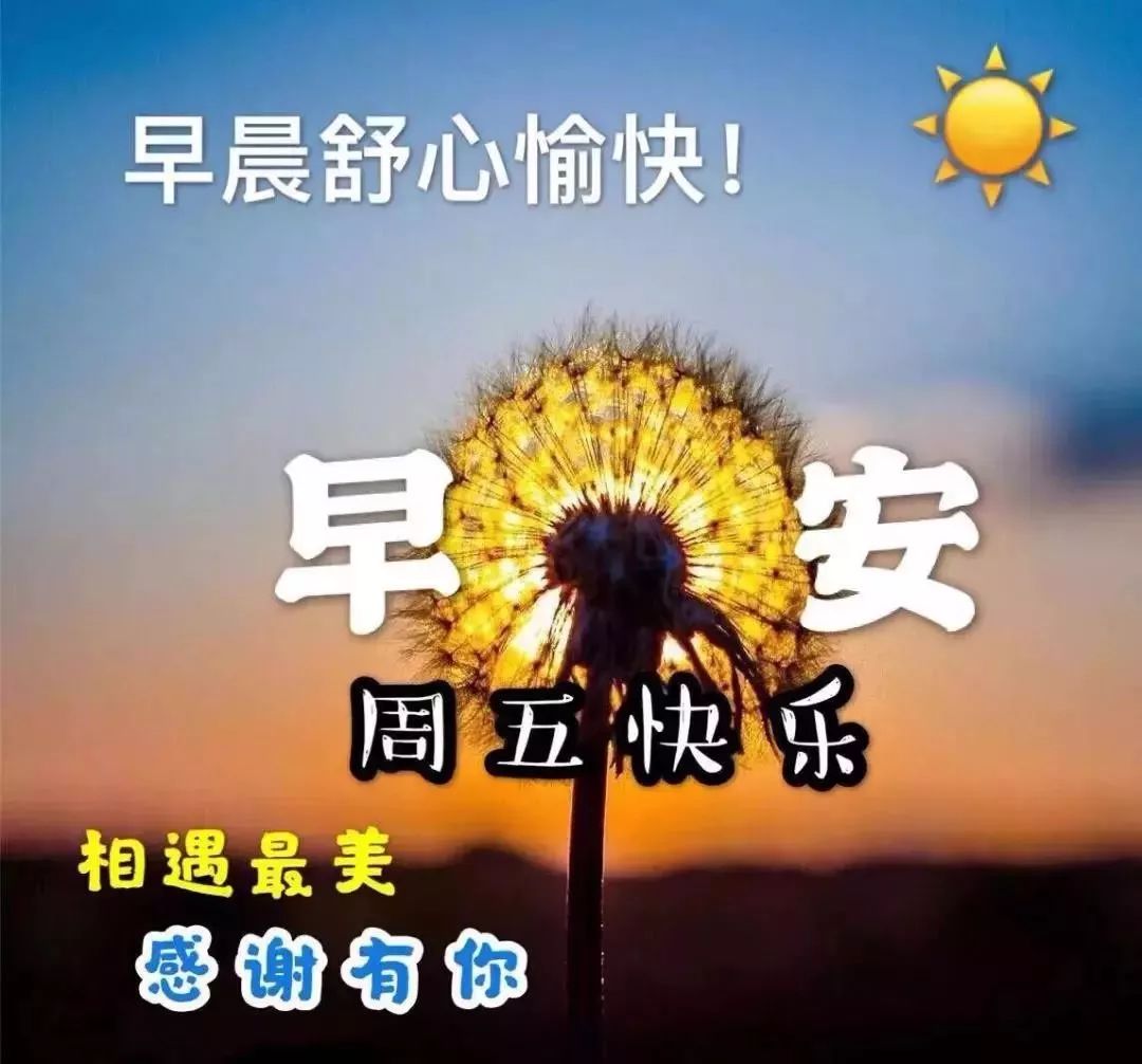 星期五最新漂亮早上好动态美图鲜花带字,早晨好幸福暖