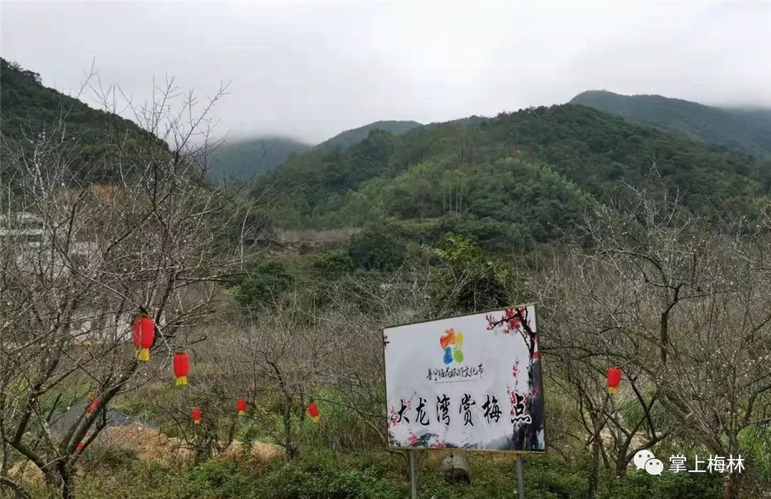 普宁梅林各村人口_普宁梅林镇新楼村(2)