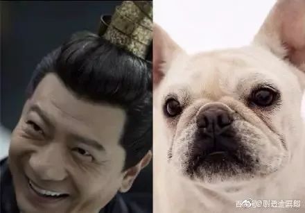 《庆余年,对不起,我要弃剧了!