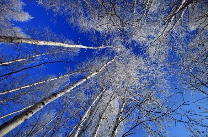 方言合诵《故乡啊故乡》