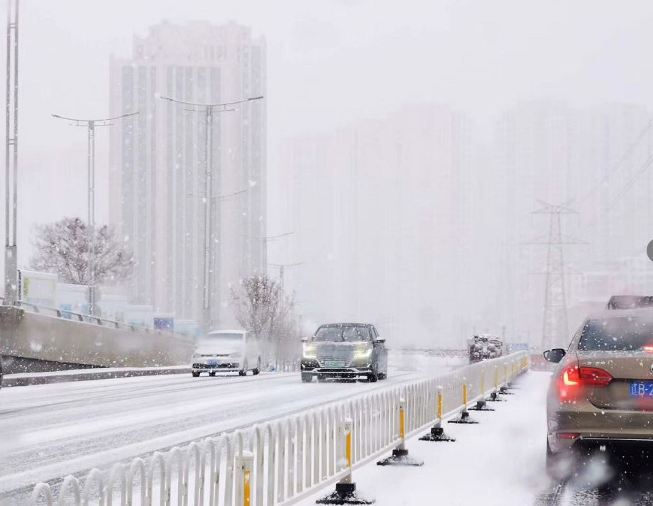 大连终于下雪了!下到什么时候?最新消息来啦