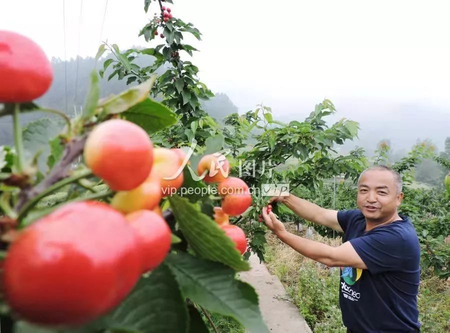 《人民日报》推动农业农村工作不断迈上新台阶