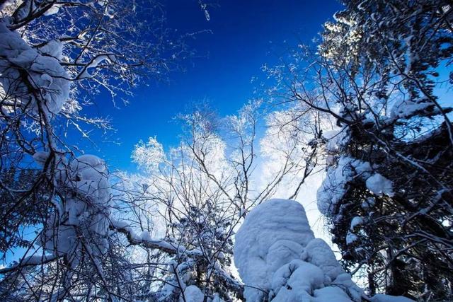 去长白山不到魔界都要来这里,穿林海,跨雪山,畅游雪的童话世界