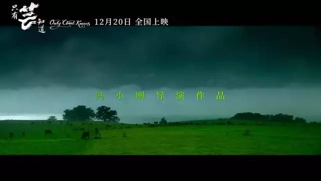 《只有芸知道:真实事件改编,致情深不悔老朋友