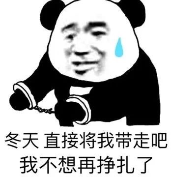 冬天直接将我带走吧,我不想再挣扎了(熊猫头表情包)