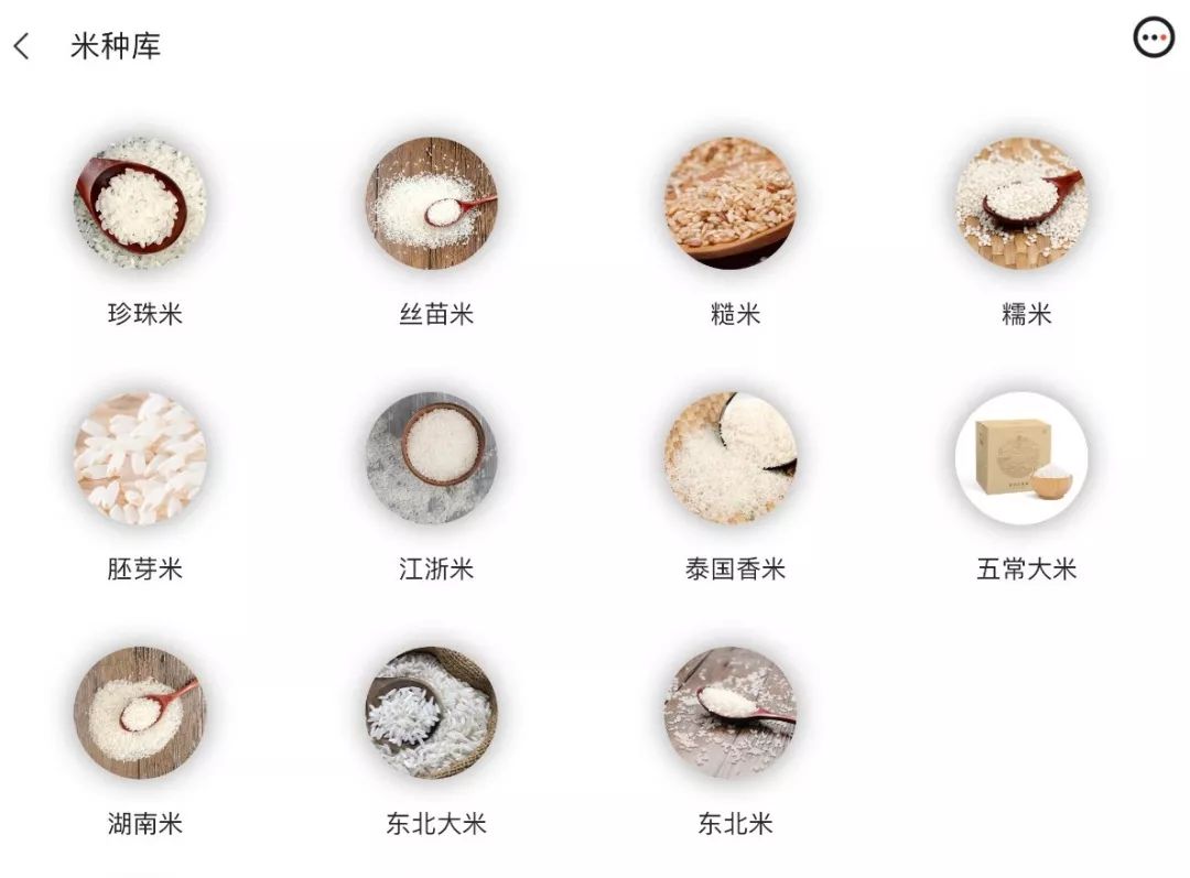 能存各种米的米种库