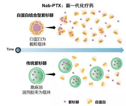 图1 新型纳米颗粒化疗药物图2 白蛋白结合型紫杉醇体内游离紫杉醇峰